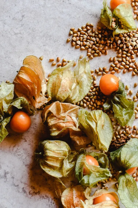 Ashwagandha root extract